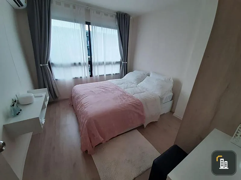 Rent Icono Green Space Sukhumvit 77 Phase 1, spacious room, quick pool view
