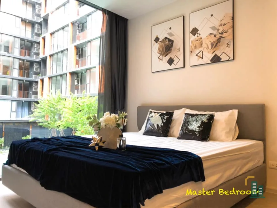 Condo for rent, Quintara Treehaus Sukhumvit 42, very new room, never entered, pool view, fully furnished, can't miss it.