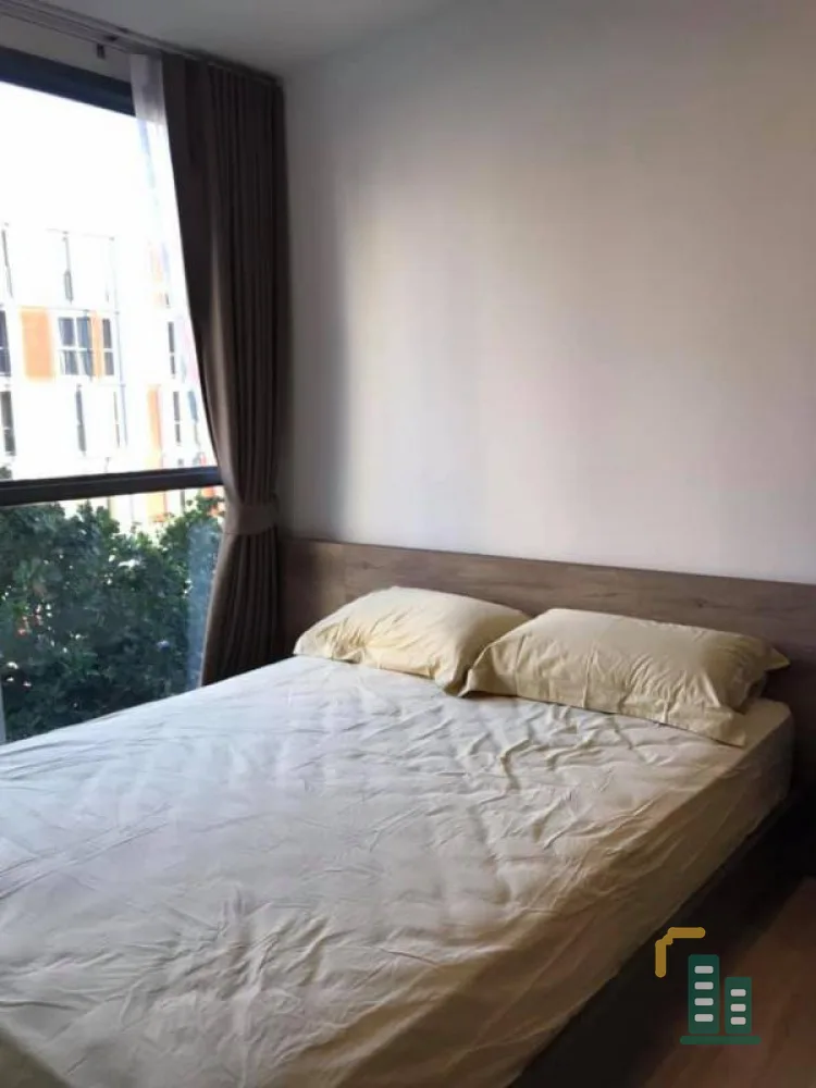 Condo for rent / sale, Taka House Ekamai 12, beautiful swimming pool view, fully furnished, tight appliances Don't miss it.
