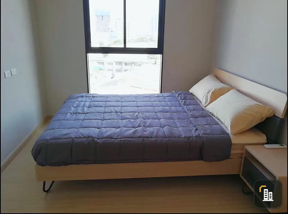 Condo for rent, sale, The Tree On Nut Station, nice room, fully furnished, pool view, good price, don't miss it