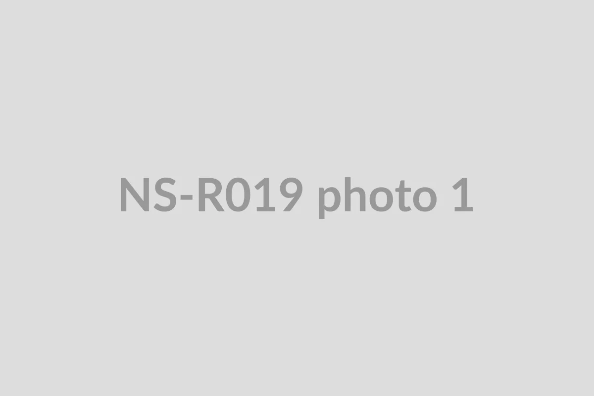 NS-R019 photo 1