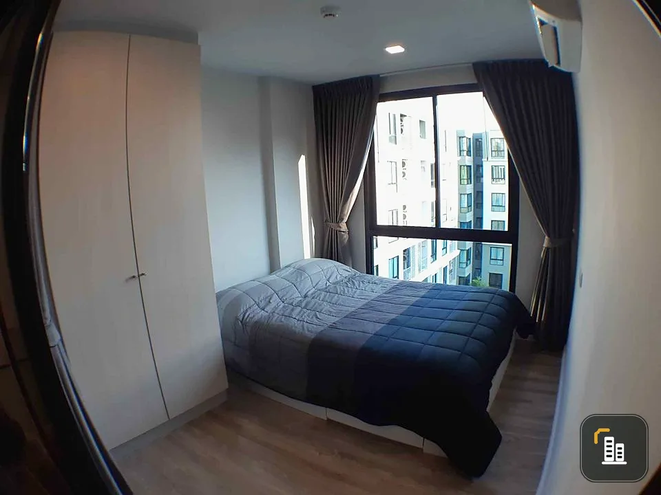 Condo for sale, rent, Kensington Phahon-Kaset, swimming pool view. The room is on the north side of the building.